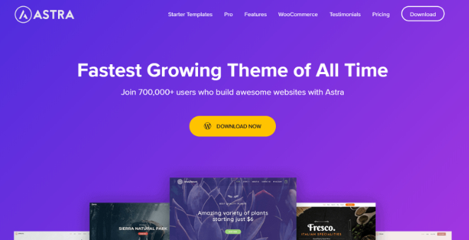 astra wordpress theme